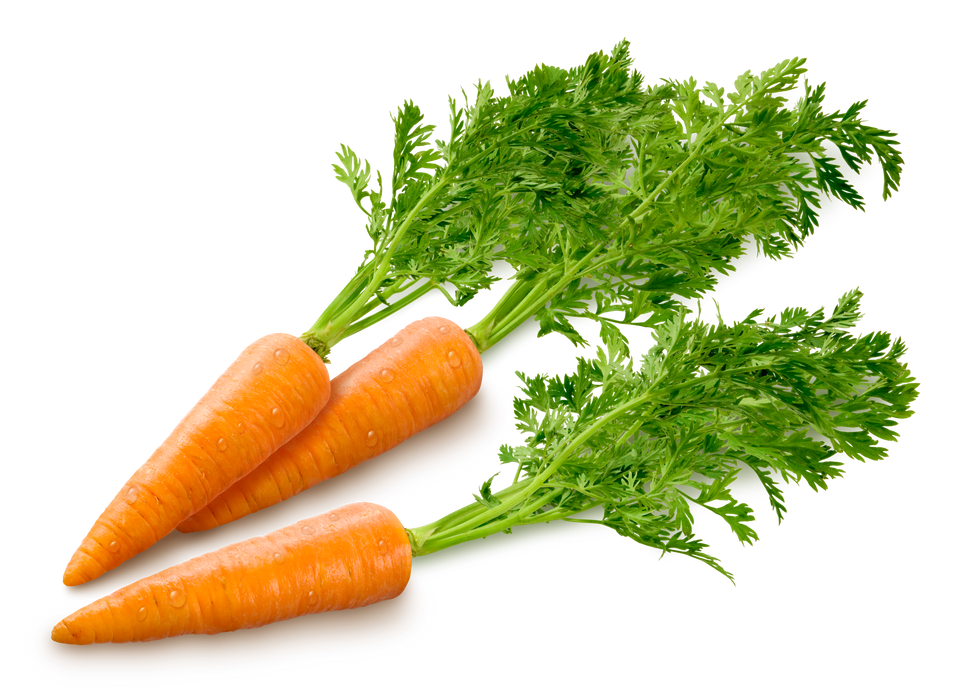 Fresh Carrots